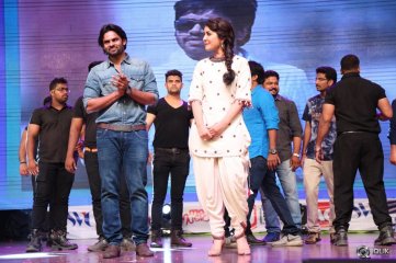 Supreme Movie Audio Launch